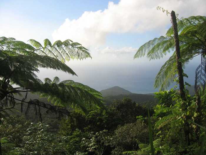 24. Guadeloupe