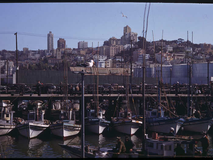 A view of Russian Hill beyond the wharf shows a quickly growing community.