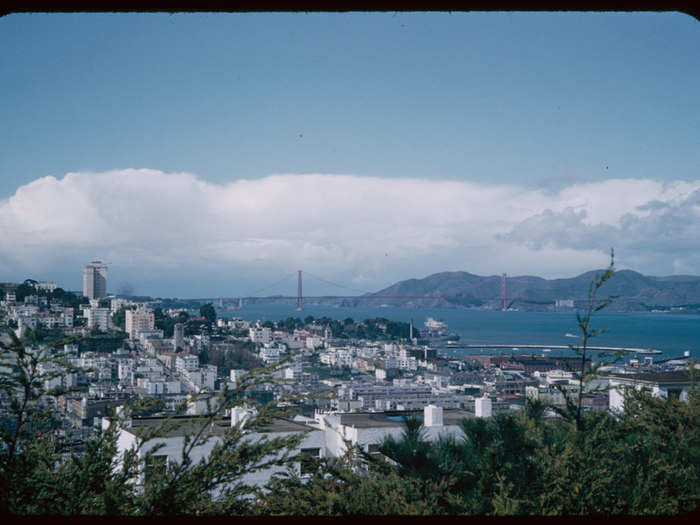 The Golden Gate makes at least a small appearance in much of Cushman