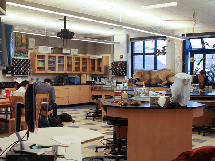 I encountered Harkness tables all over campus. They were in the Phelps Science Center, which also housed taxidermy exotic cats in every lab ...