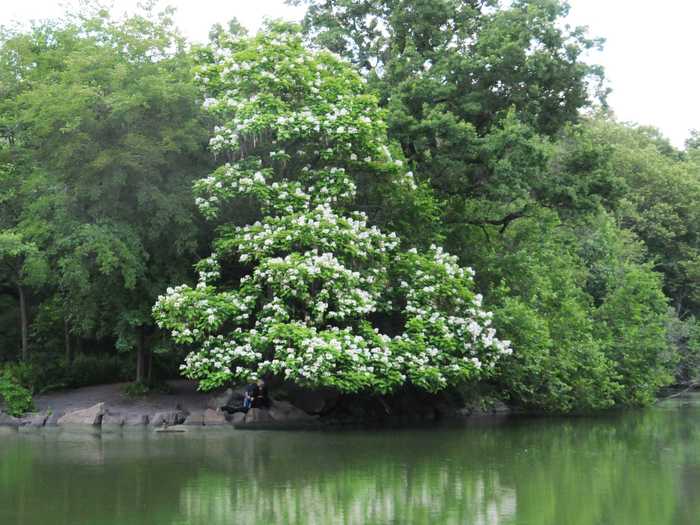 The Lake, present day.