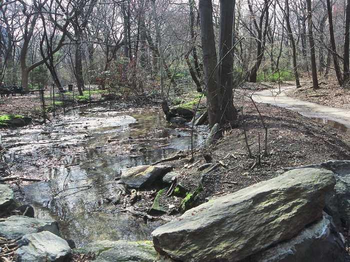 Azalea Pond, 1980s.