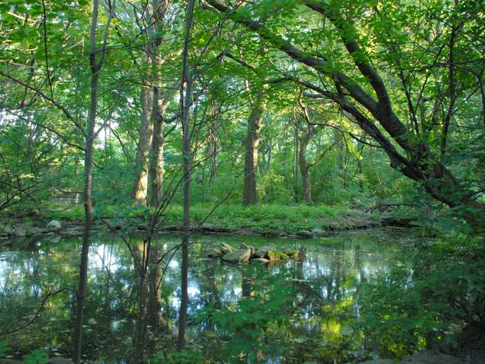 Azalea Pond, present day.