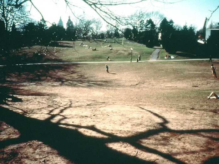 Cedar Hill, 1980s.