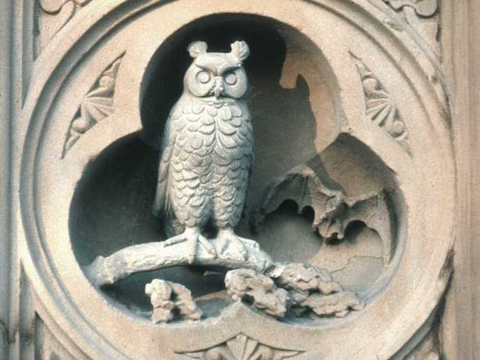 Bethesda Owl, present day.