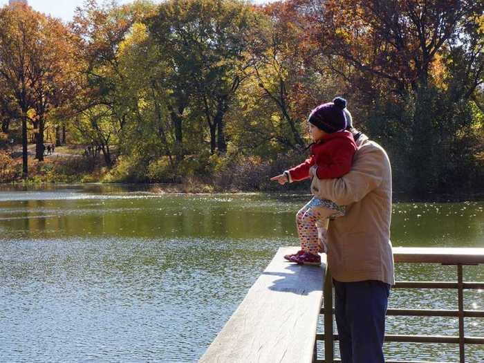 Now, see why Central Park is such an amazing place today.