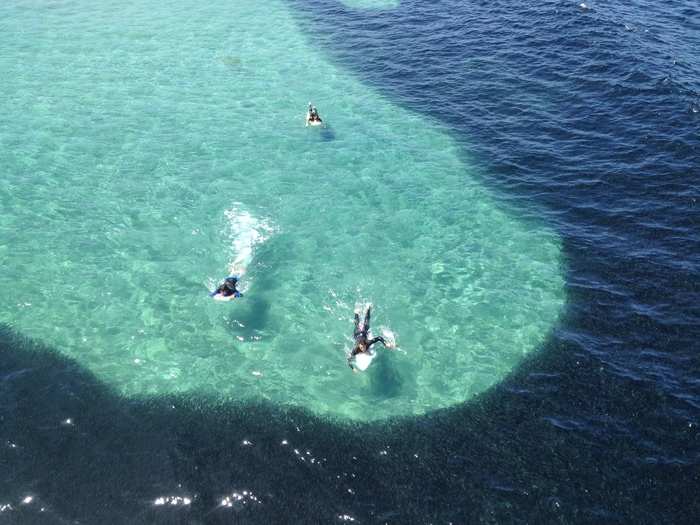On July 8, a giant school composed of millions of Northern Anchovies invaded La Jolla, California.