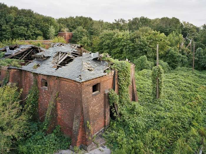 North Brother Island shows what happens to a the world abandoned by humanity.