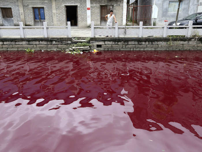 Residents of Wenzhou, China, woke one July morning to find that a river had turned red as blood due to pollution in the area.