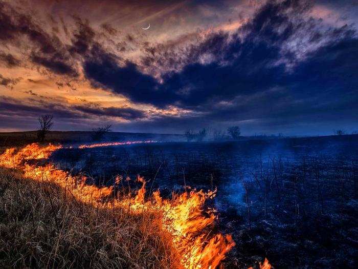 This shot of a controlled burn in Shawnee County, Kansas, was one of the most amazing photos we spotted in the Nature Conservancy