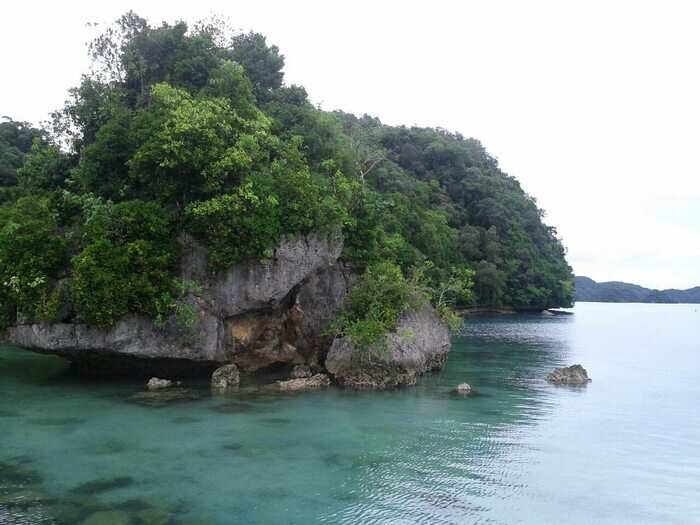 The Palau Conservation Society writes, "Rising sea temperatures cause widespread coral bleaching, threatening Palau’s tourism industry and fisheries livelihoods. Sea level rise threatens outer island atolls and coastal habitats, as well as the communities and animal populations that rely on them."