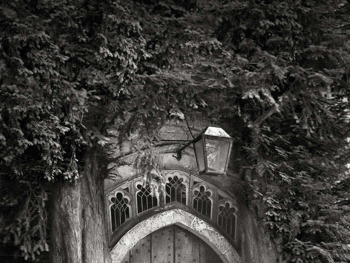 These two Yew Trees, which flank the door to the Church of St. Edward in Stow-on-the-Wold, England, planted sometime in the 18th century, were probably survivors of an avenue of trees that led to the door of the church. They now appear to grow from the building itself.