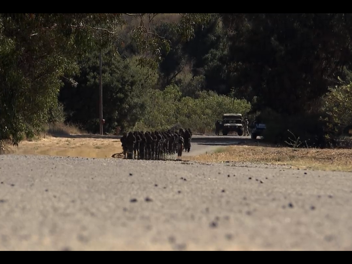 Then they run home, still wet and weary from the day