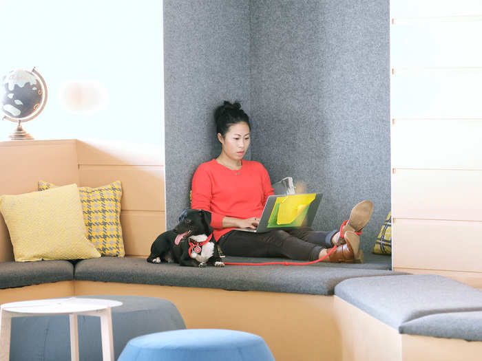 Nerdwallet is a very dog-friendly office, and some 14 dogs can be found here at any given time. Pictured are learning and development associate Lincy Suen and her canine friend Blake.