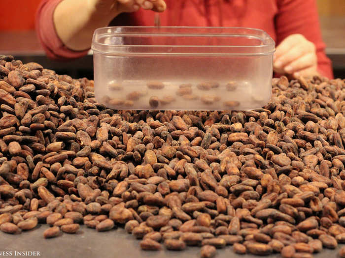 Without added cocoa butter, vanilla, or lecithin to hide behind, each cacao bean needs to be perfect. Staff meticulously sort through the burlap sacks of beans they receive, to weed out the ones that are cracked or otherwise defective.