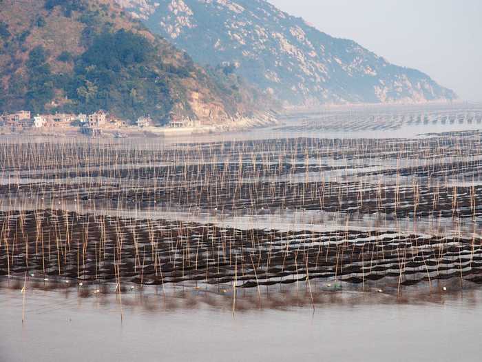 Go fishing in the Xiapu Mudflat, located along the southeast China coastline in Fujiang Province.