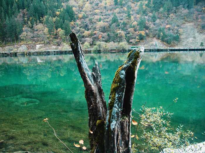 Hike through the Yellowstone of China, Jiuzhaigou Natural Reserve.