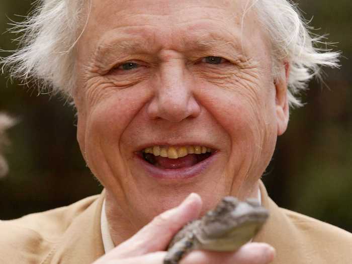 Sir David Attenborough enrolled at LSE in 1964, when he was already a broadcaster for BBC. He started a degree in anthropology through a part-time course, but decided to leave after two terms to become the director of BBC Two.