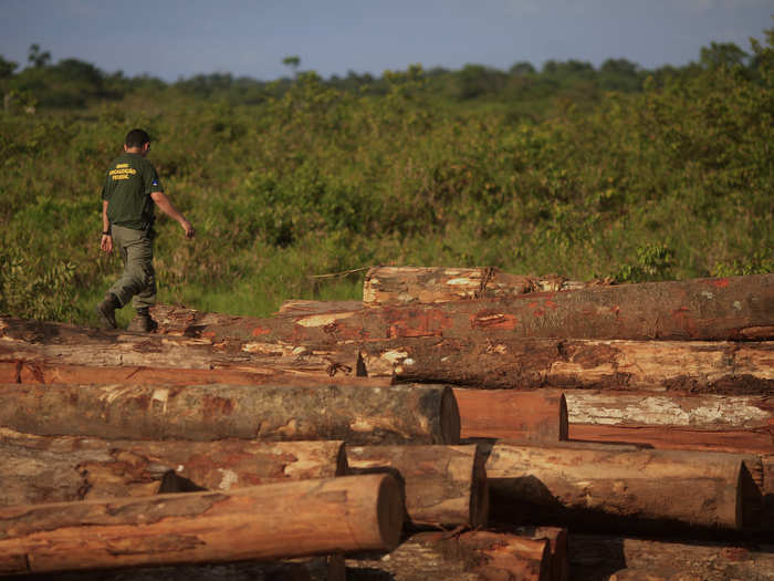 Deforestation in the Amazon has contributed to the problem too, by removing an important source of humidity in the air. This has drastically reduced rainfall in Brazil