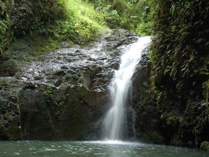 HAWAII: Maunawili