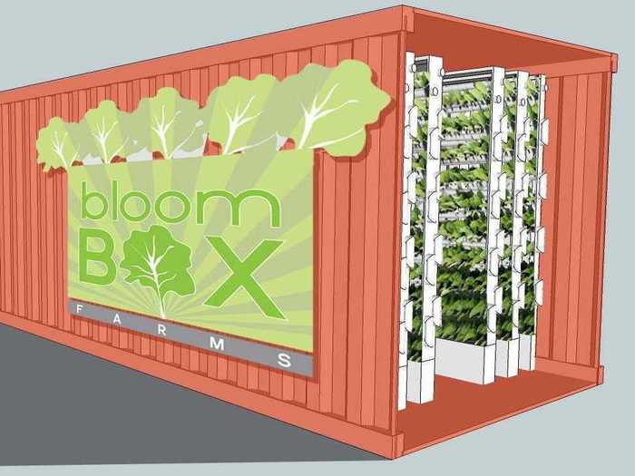 Bloom Box Farms