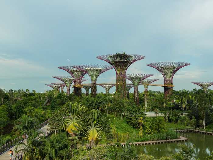 Much of Singapore is comprised of reclaimed land. The island was so tiny that it has nowhere to expand but up and out. Gardens by the Bay is a 250-acre park that