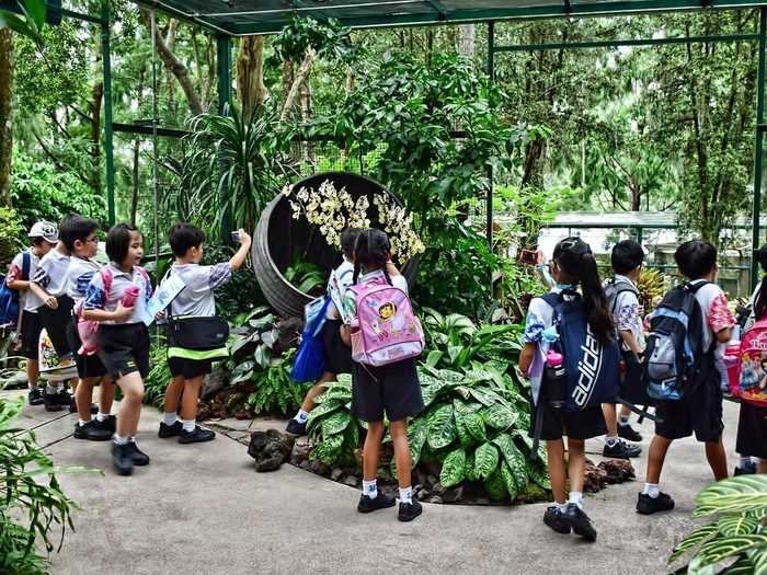 The Singapore Botanic Garden, which is open to the public for free, is incredible. Singaporeans often come here to picnic and relax on the weekends.