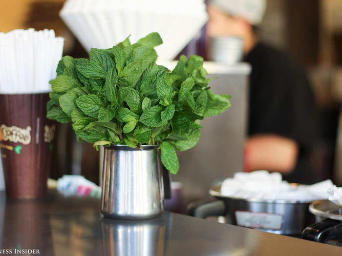 A bright bouquet of mint sits on the counter, and the barista plucks three leaves for every cup of the Philharmonic, a house-favorite blend. The floral brew gets an extra kick from a sprinkling of cardamom.