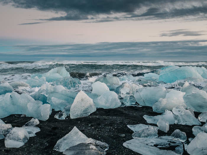 You’ll also likely spot some Icebergs that have floated down to the beach.