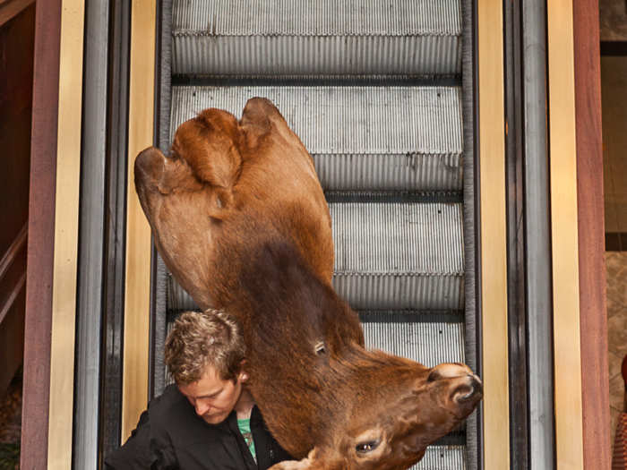 The atmosphere at the conventions he attends is incredibly positive, says Drooker. At the World Taxidermy & Fish Carving Championships, a five day convention in Springfield, Illinois. a taxidermist told him, “This isn’t a convention. It’s a family reunion.”