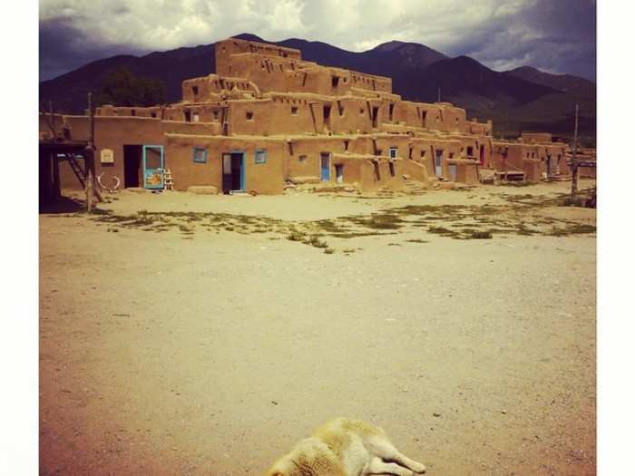 Sleeping dog at Taos, Pueblo, New Mexico