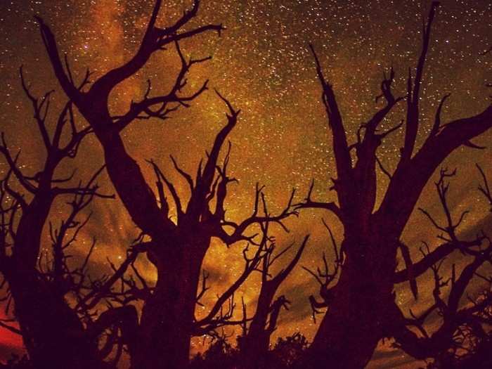 Starry night outside Grand Staircase National Monument in Utah.