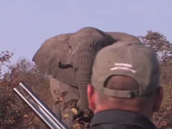 In 2011, Parsons was heavily criticized after videos of him hunting elephants in Africa surfaced on the internet. He defended his actions, saying he was helping locals control the elephant population: "These people are on the brink of starvation," he told CBS. "A lot of people are up in arms about this ... if they