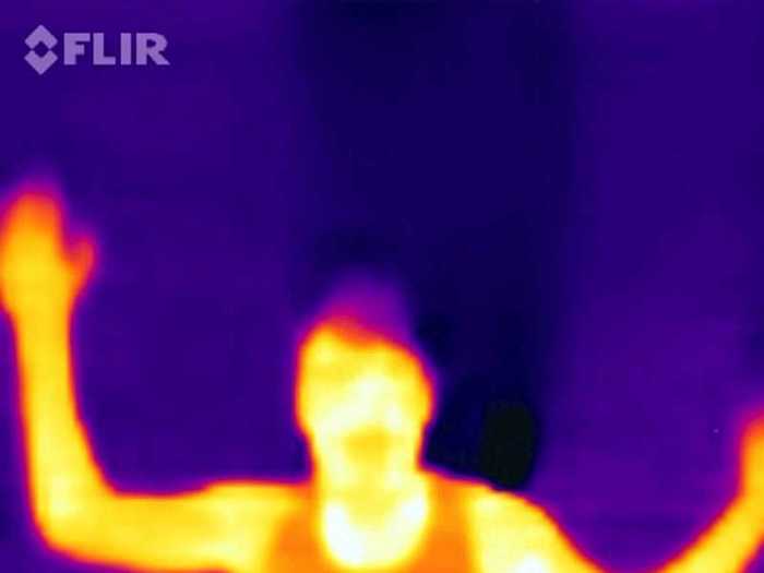 FLIR Systems