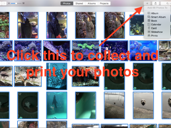 When you select a group of photos, press the plus button in the toolbar to choose a printing option.