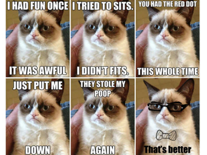Grumpy Cat has amassed nearly tons of Twitter followers and memes have circulated across the web. The cat