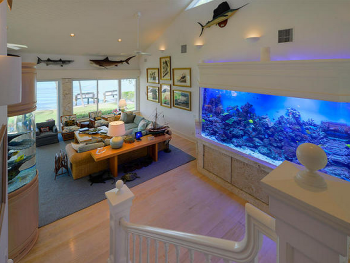 And check out that aquarium!