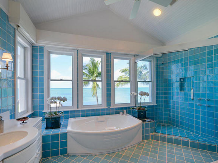 The blue bathroom looks luxurious too.