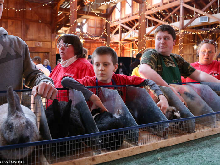 On the first spring weekend, as the temperature soars above 60 degrees in New York, dozens of breeders cram into the barn along with around 600 rabbits and hundreds of spectators.