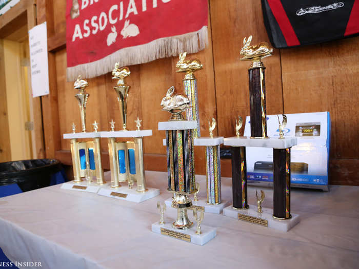 The Best of Breed winners move onto the semifinals of rabbit showing: Best 4-Class and Best 6-Class. It