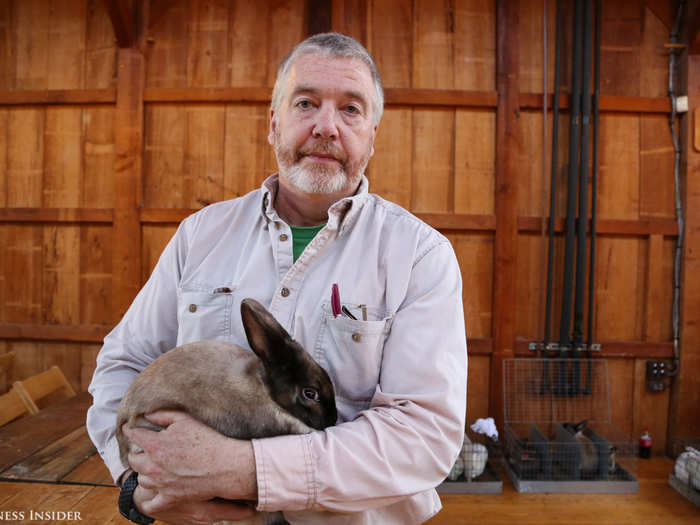 The Best of Breed rabbits in a larger weight range compete for Best 6-Class. Mike Kinane, president of the Long Island Rabbit Breeders Association, claimed that prize (with a rabbit shown in the next slide).