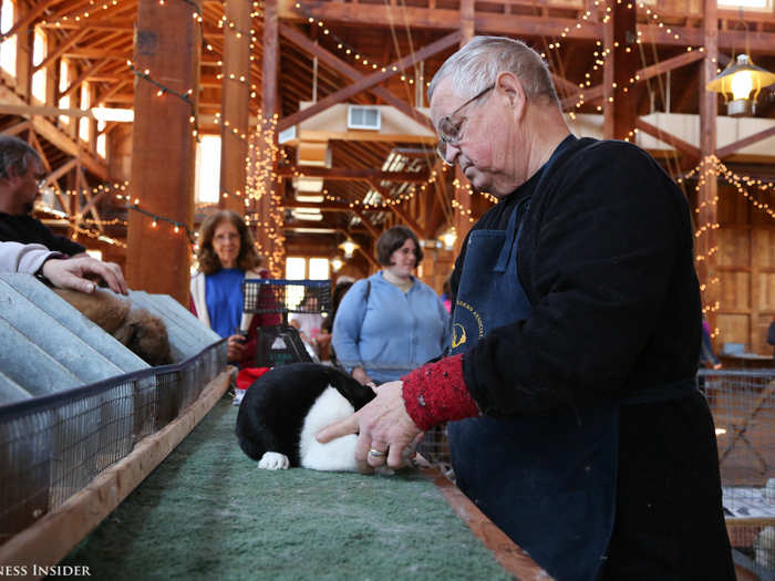 The lighter Best of Breed rabbits duke it out for Best 4-Class — and the chance to go up against the Standard Satin in the final round. Here