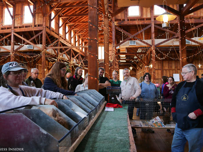 The judge paces as he gives his favorites one more once-over. The barn quiets.