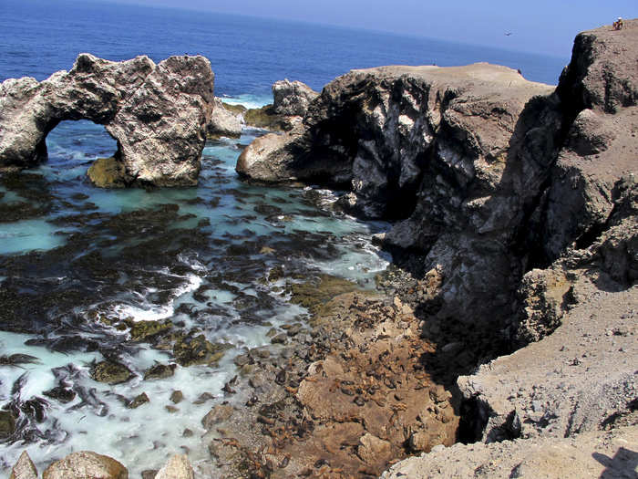 A national reserve in San Francisco shows a colony of sea lions resting on the shore.