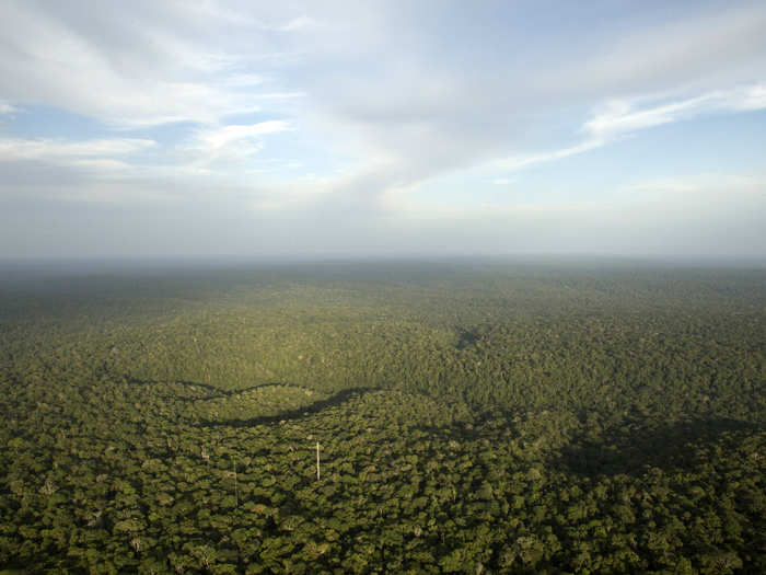 A view from the Amazon Tall Tower Observatory in Brazil.