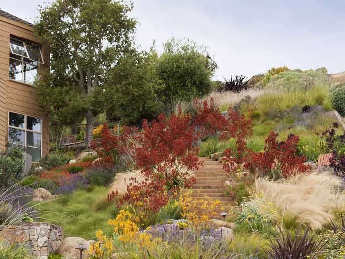 PRIVATE GARDEN (jury): The Painterly Approach by Arterra Landscape Architects