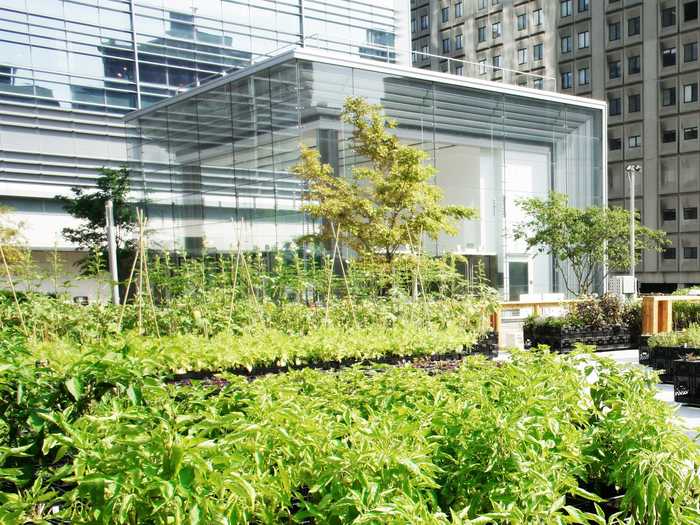 PRIVATE GARDENS (popular): Riverpark Farm by ORE design + technology