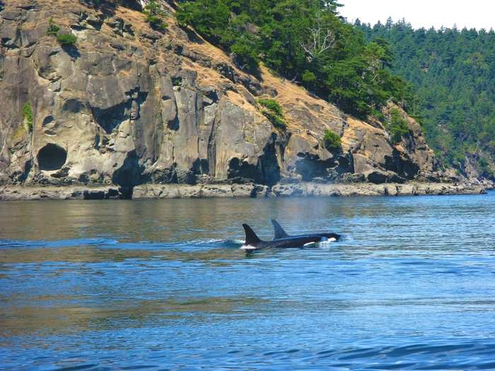 9. San Juan Island, Washington