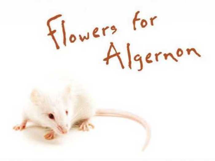 "Flowers for Algernon" by Daniel Keyes