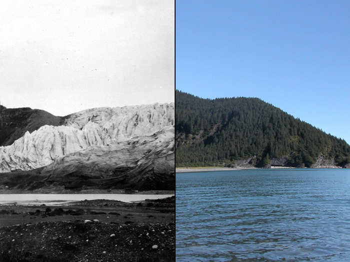 Melting McCarty Glacier, Alaska, July 1909 vs. July 2004